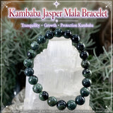 Mala Kambaba Jasper armband með flauelspoki