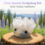 Crystal Quartz Hedgehog Pet (ΥΙΟΘΕΤΗΣΤΕ ΜΕ ΠΑΡΑΚΑΛΩ) 🥰