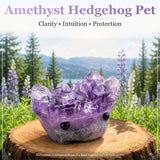 Crystal Amethyst Hedgehog Pet (ADOPTE ME PLEASE) 🥰