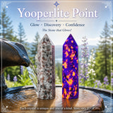 $8 Yooperlite Point-kampagne for kun én dag