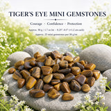 Tiger's Eye Mini gimsteinar (50 grömm / 1,7 oz. Lot)