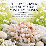 Cherry Flower Blossom Agate Mini Ädelstenar (50 gram / 1,7 oz. Lot)