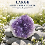 Stór Amethyst þyrping