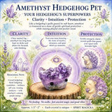 Crystal Amethyst Hedgehog Pet (ADOPTE ME PLEASE) 🥰