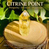 Citrine Wealth & Abundance 9-krystallsett
