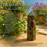 Dragon's Earth Wisdom Treasure Box