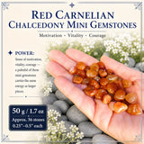 Rauðir Karneol Kalsedón lítill gimsteinar (50 grömm / 1,7 oz. Lot)