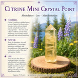 Amethyst Sacred Geometry Faceted Crystal