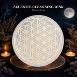 Selenite Flower Of Life Cleansing Disk