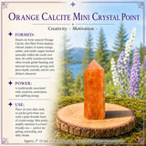 Amethyst Sacred Geometry Faceted Crystal