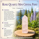 Amethyst Sacred Geometry Faceted Crystal