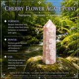 43-delade Crystal Collectors Super Kit