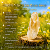 Citrien Abundance kristallen zakset
