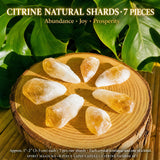 8-stykki Lapis Lazuli + Sitrine Shards Sett
