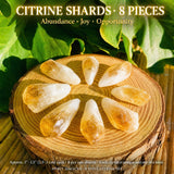 Citrine Wealth & Abundance 9-krystallsett
