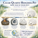 Crystal Quartz Hedgehog Pet (ΥΙΟΘΕΤΗΣΤΕ ΜΕ ΠΑΡΑΚΑΛΩ) 🥰