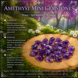 Mystic Magic Crystal Pokasett