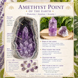Ensemble de 8 pointes d'améthyste + éclats d'améthyste