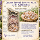 Cherry Flower Blossom Agate Mini Ädelstenar (50 gram / 1,7 oz. Lot)