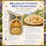 Brasilískir sítrín lítill gimsteinar (50 grömm / 1,7 oz. lota)