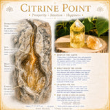 Citrine Wealth & Abundance 9-krystallsett