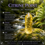43-delade Crystal Collectors Super Kit
