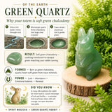 Μανιτάρι Carnelian
