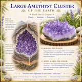 Stór Amethyst þyrping