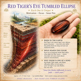 Red Tigers Eye Tumbled Ellips