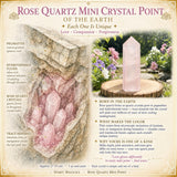 Amethyst Sacred Geometry Faceted Crystal