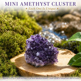 Crystal Sampler Bundle Nr. 5 - 70 % Rabatt Blitzangebot