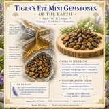 Tiger's Eye Mini gimsteinar (50 grömm / 1,7 oz. Lot)
