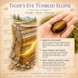 Tigerauge getrommelte Ellipse