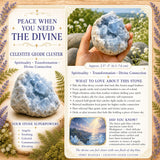 Celestite Geode Cluster 👉 75% afsláttur af 1-dags kynningu
