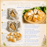 Citrine Wealth & Abundance 9-krystallsett
