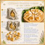 Αφγανιστάν Jade Balance & Citrine Abundance Set