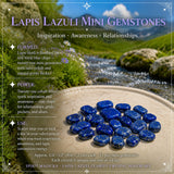 Lapis Lazuli Clarity kristalpokasett