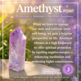 Amethyst andlegt verndarsett