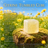 Citrien Abundance kristallen zakset