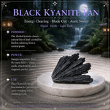 Total Dark Energy Protection Bundle