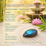 Συλλογή Prosperity Aventurine + Allies Crystal