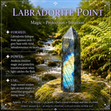 43-delade Crystal Collectors Super Kit