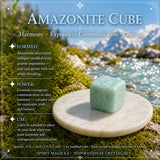 Πακέτο Inspirational Apatite + Allies Crystal Box