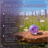 Amethyst safnarasett