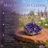 Amethyst safnarasett