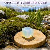 Crystal Sampler Bundle Nr. 5 - 70 % Rabatt Blitzangebot