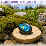 Crystal Sampler Bundle Nr. 5 - 70 % Rabatt Blitzangebot