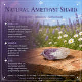 Amethyst safnarasett