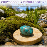 Crystal Sampler Bundle Nr. 5 - 70 % Rabatt Blitzangebot