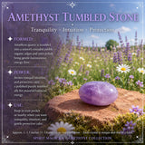 Amethyst safnarasett